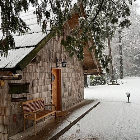 Private Beach House On Lake Bled Dış mekan fotoğraf