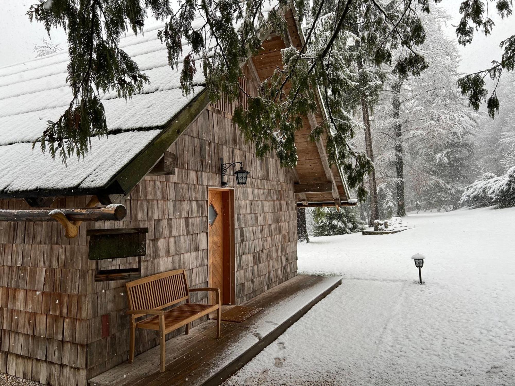 Private Beach House On Lake Bled Dış mekan fotoğraf